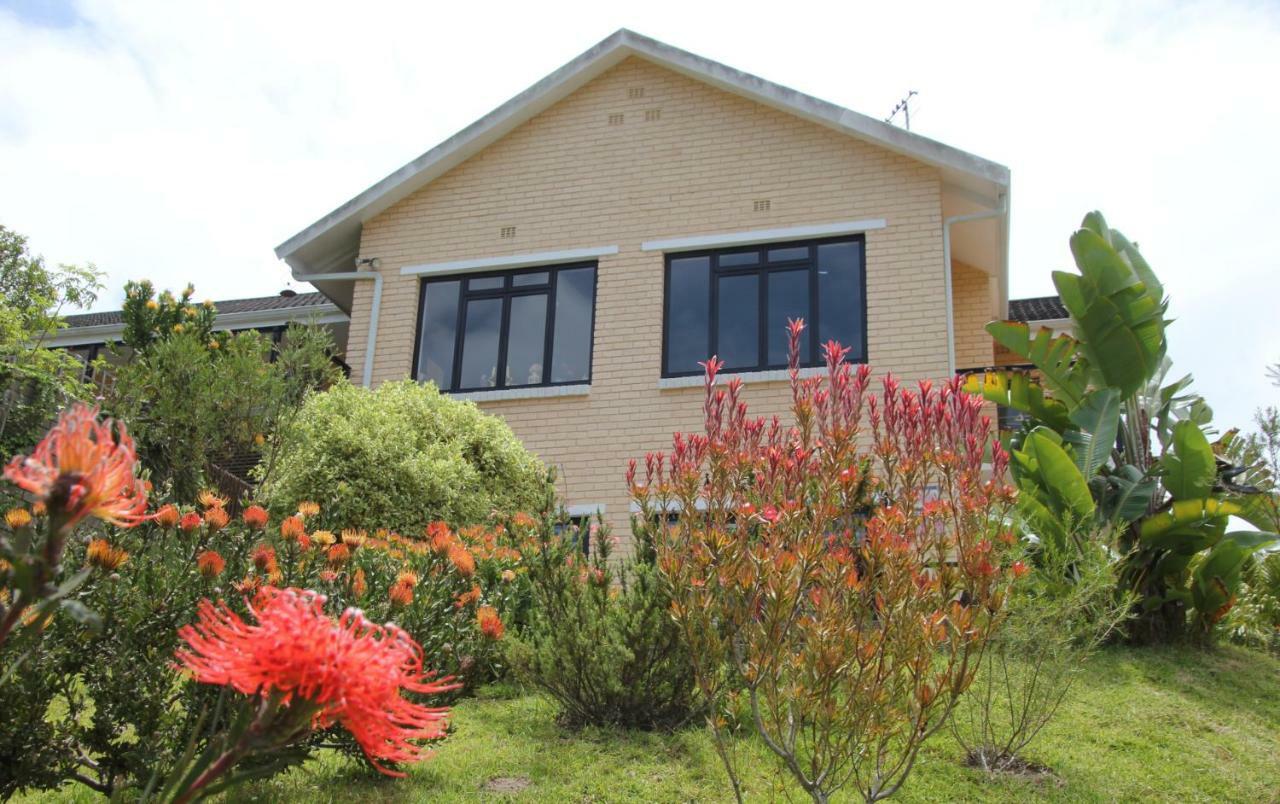 Garden Cottage In Ambiente Guest House Knysna Eksteriør billede