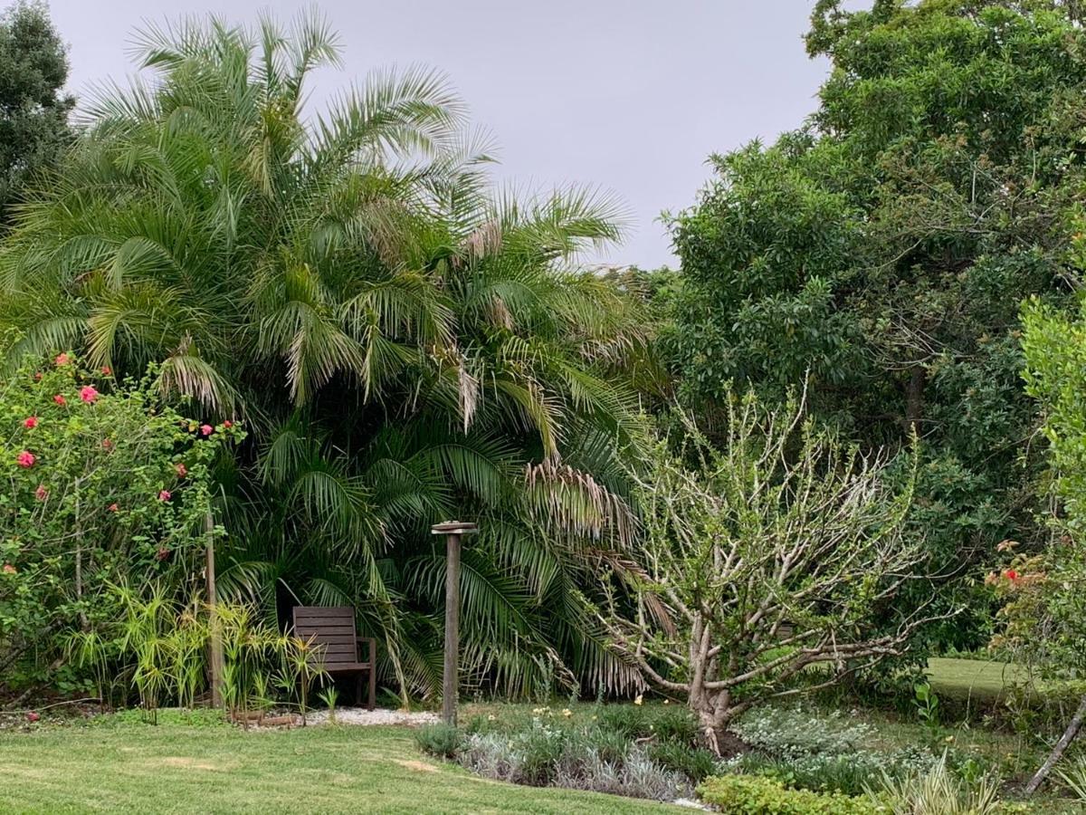 Garden Cottage In Ambiente Guest House Knysna Eksteriør billede